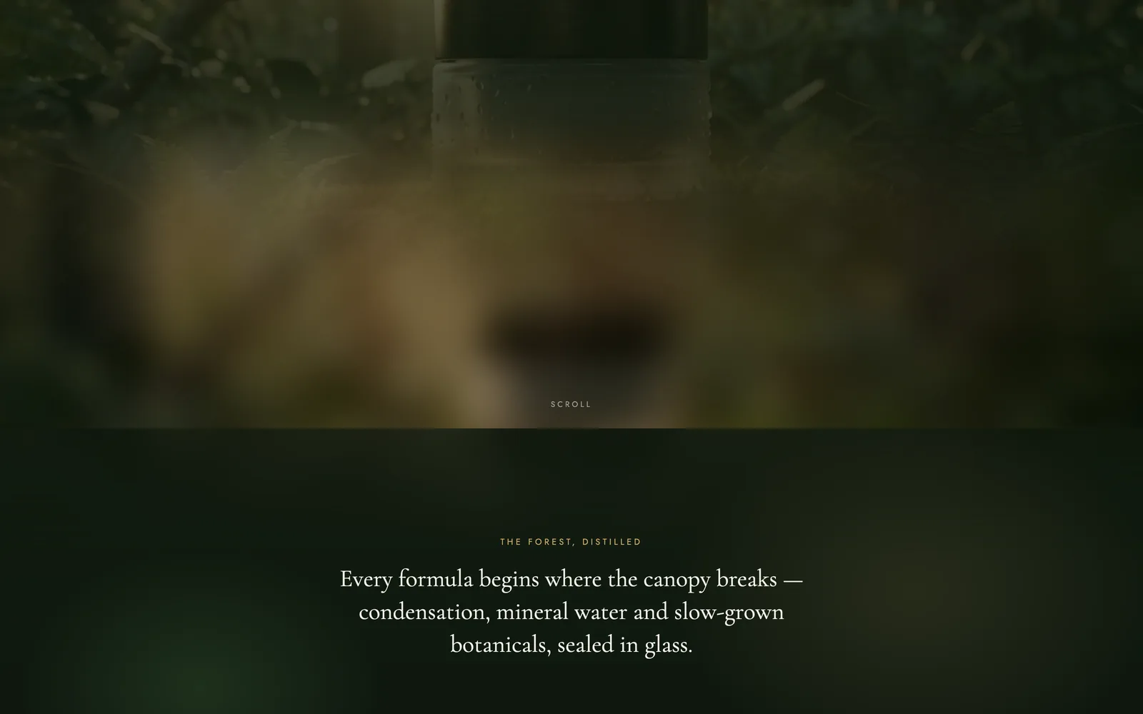 Mosséra Botanique — Editorial product page