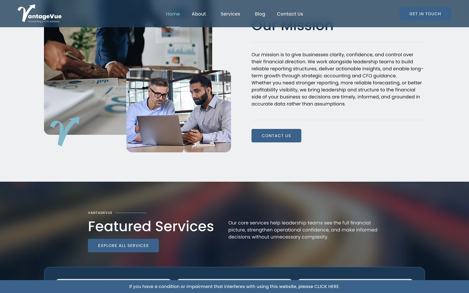 VantageVue services and offering section