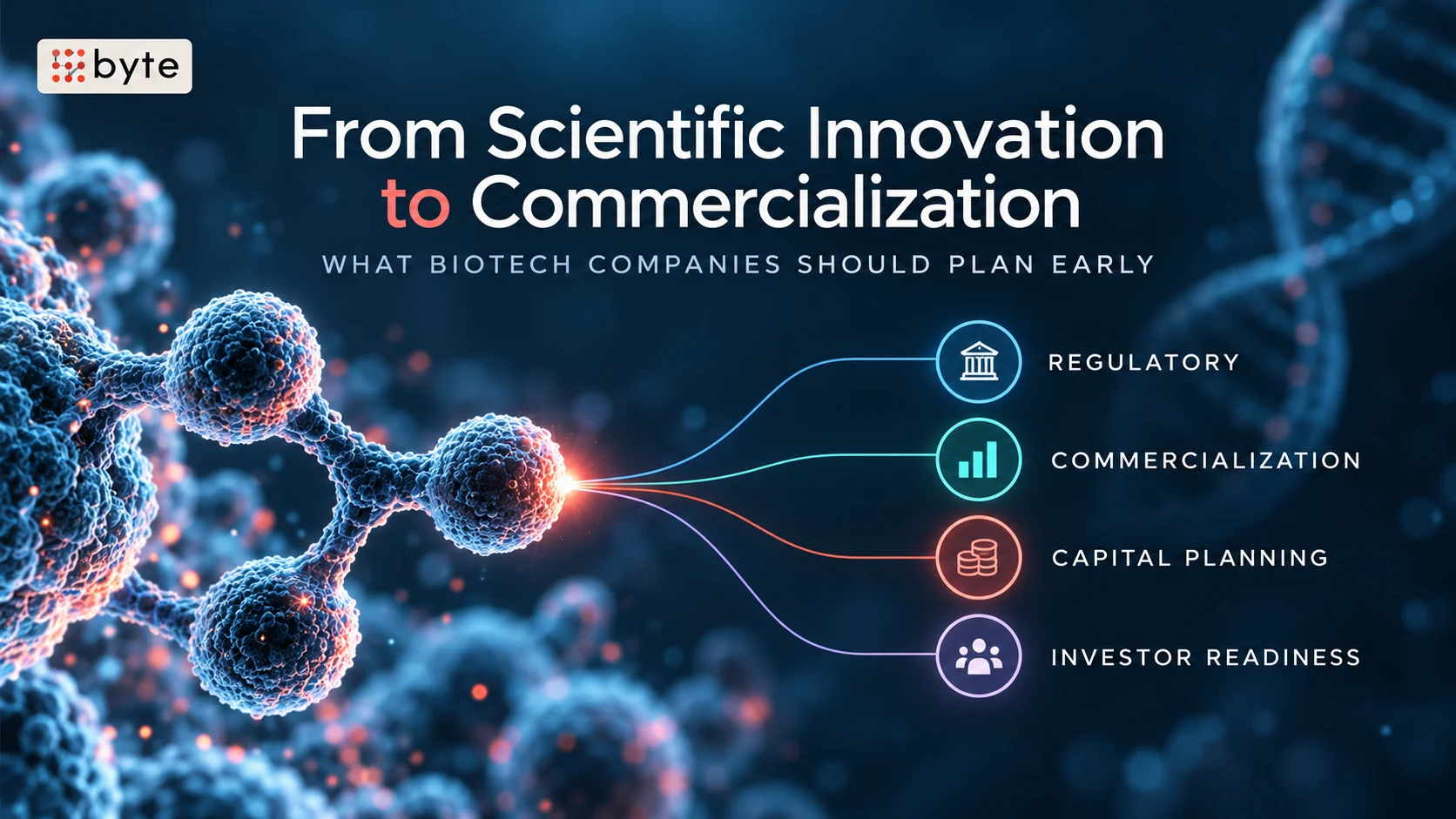 From scientific innovation to commercialization: regulatory, commercialization, capital planning and investor readiness